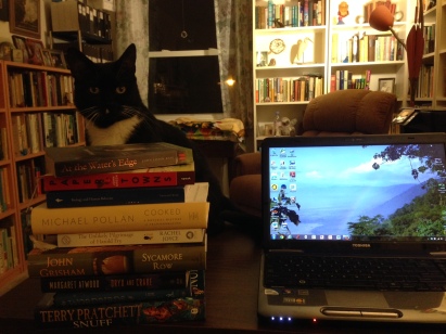 book stack with cat